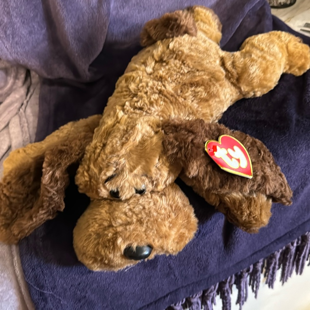 Elvis Ty Beanie Dog